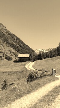 Szary + Sepia