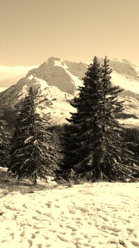 Sepia