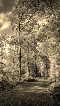 Szary + Sepia