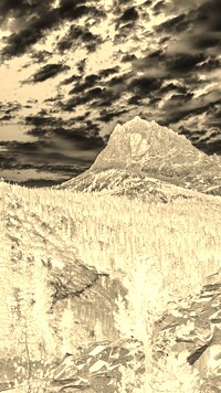 Sepia + Negatyw