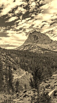 Szary + Sepia