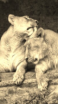 Sepia