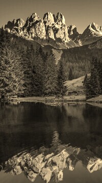 Szary + Sepia