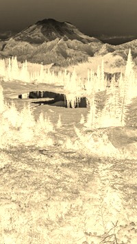 Sepia + Negatyw