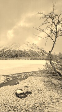Sepia