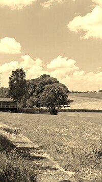 Szary + Sepia