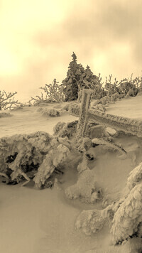 Szary + Sepia