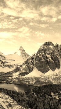 Szary + Sepia