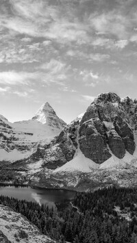 Szary