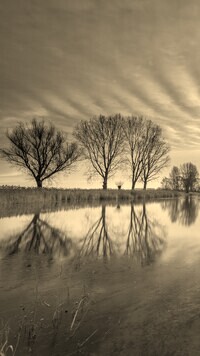 Szary + Sepia