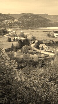 Szary + Sepia