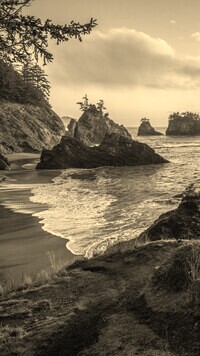 Szary + Sepia