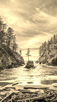 Sepia