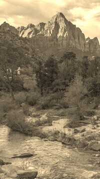 Szary + Sepia