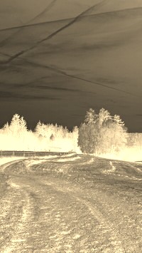 Sepia + Negatyw