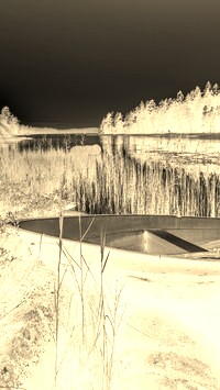 Sepia + Negatyw