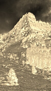 Sepia + Negatyw