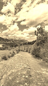 Szary + Sepia