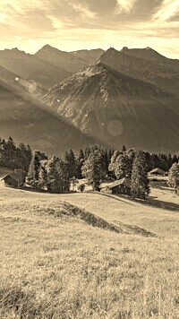 Szary + Sepia