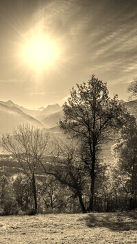 Sepia