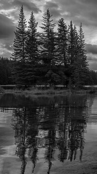 Szary