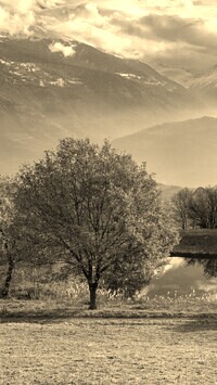Szary + Sepia