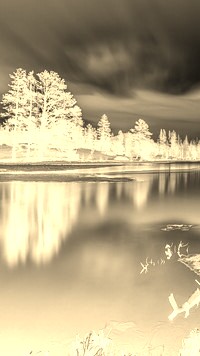 Sepia + Negatyw