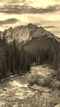 Sepia