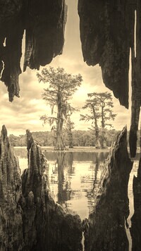 Szary + Sepia