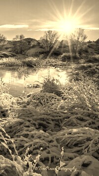 Szary + Sepia