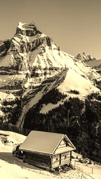 Sepia