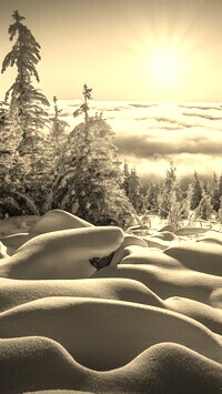 Szary + Sepia