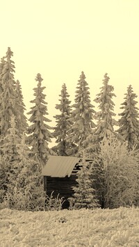 Szary + Sepia