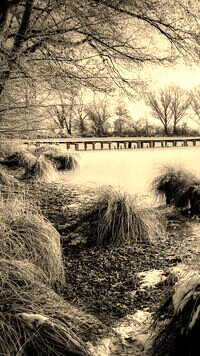 Szary + Sepia