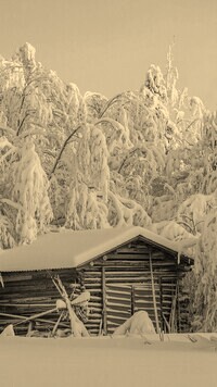 Sepia