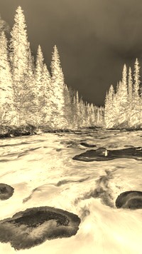 Sepia + Negatyw