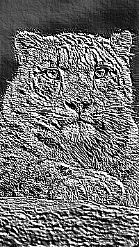 Skamielina