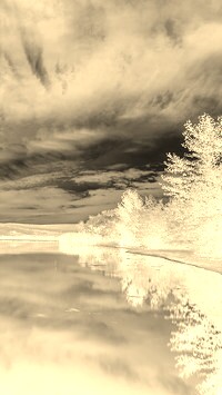 Sepia + Negatyw