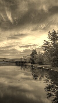 Sepia