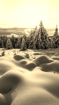 Sepia