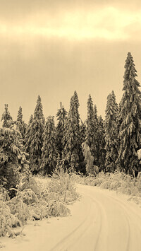 Szary + Sepia
