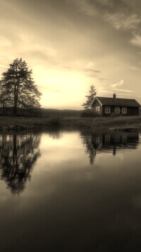 Szary + Sepia