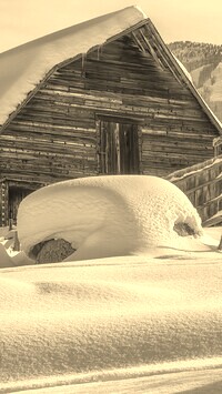 Szary + Sepia