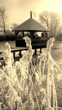 Szary + Sepia