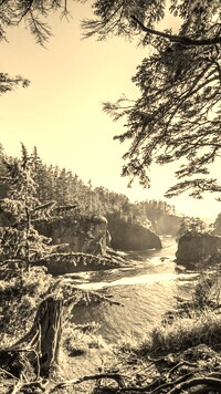 Szary + Sepia