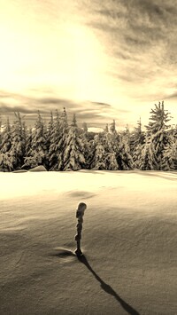 Szary + Sepia