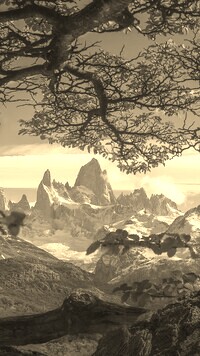 Szary + Sepia