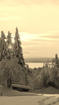 Sepia