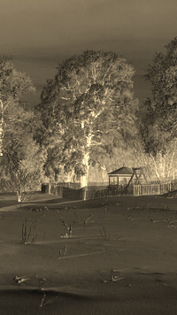 Sepia + Negatyw