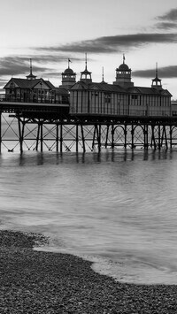 Szary